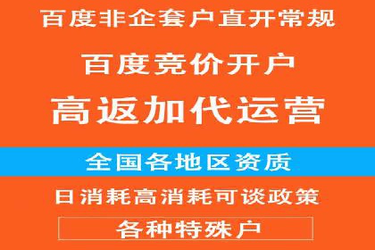 百度推广成功案例分析